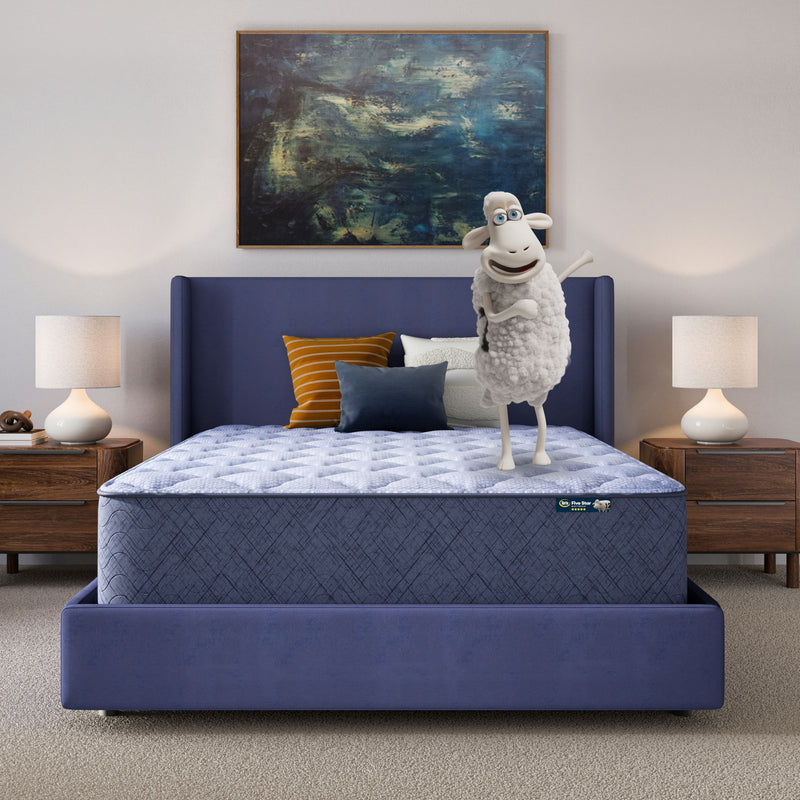 Five Star Mattress - Sleep to Go 14" Plush Mattress in a Box
