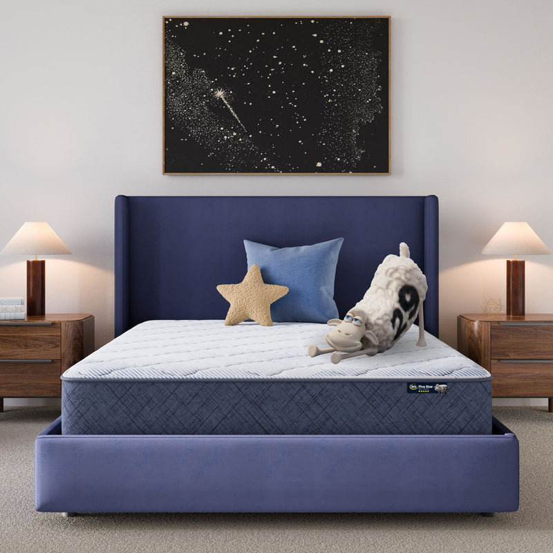 Five Star Mattress - Sleep to Go 10" Medium Mattress in a Box